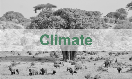 Climate